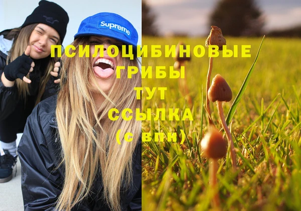 герыч Верея
